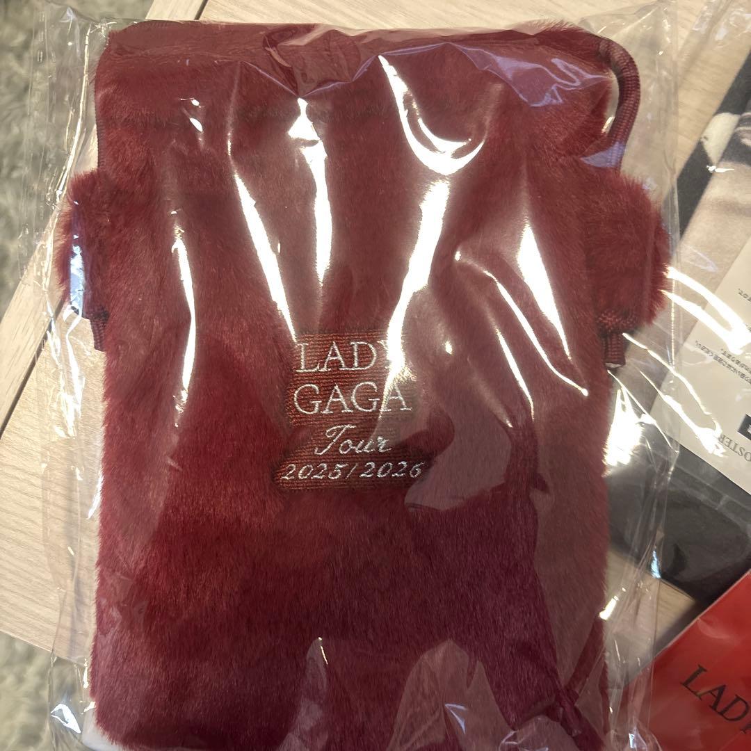 LADY GAGA Tour 2025/2026 VIPグッズセット