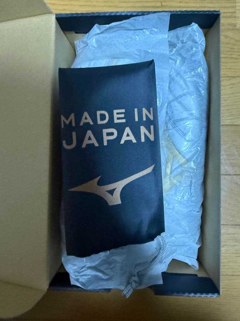 モレリア2Japan ag 26.0cm