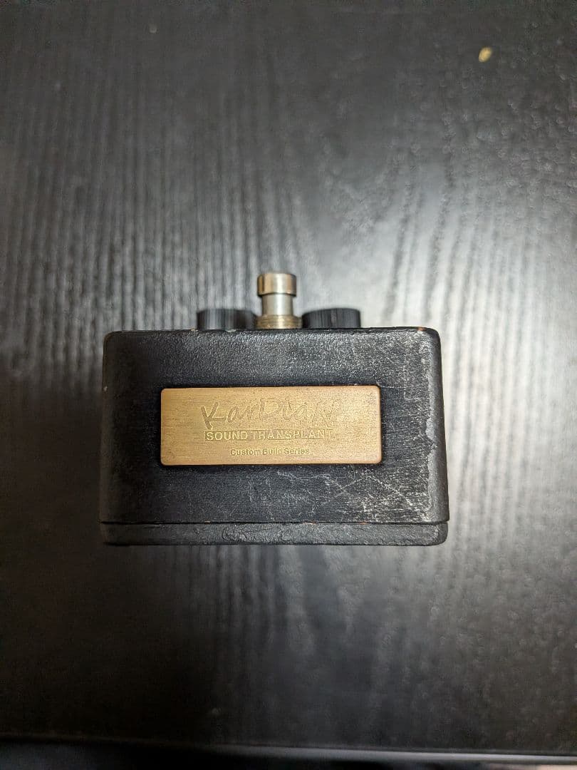 ギター Kardian Serotonin Black