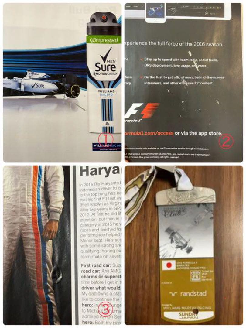 2016 F1 イギリスGP 19名直筆サイン入り　公式プログラム　【貴重品】