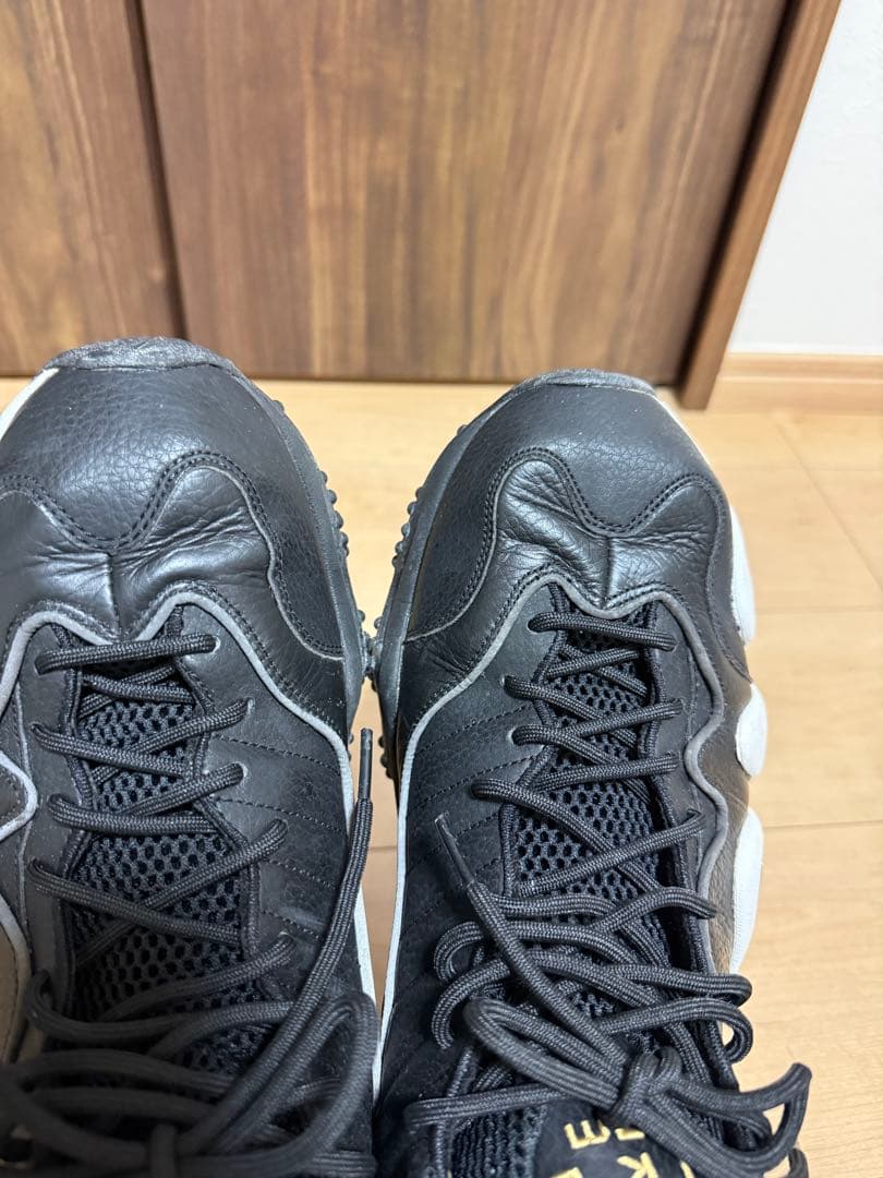 NIKE Zoom バッシュ