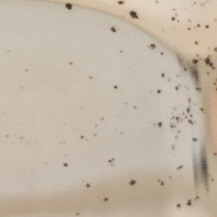 ヴィンテージ　メキシコ　De La Peña  シルバープレート　トレイ