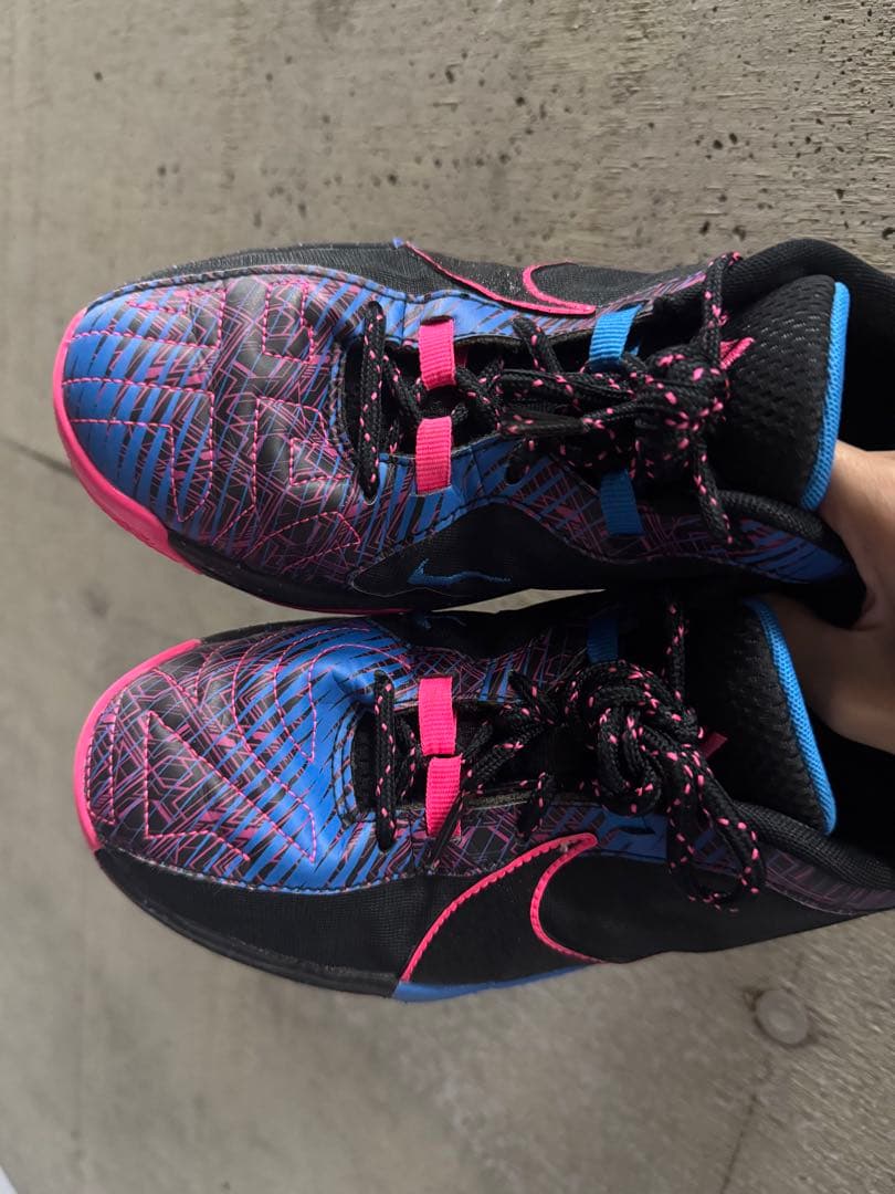 バスケットシューズ バッシュ フリーク Nike ZoomFreak5 美品