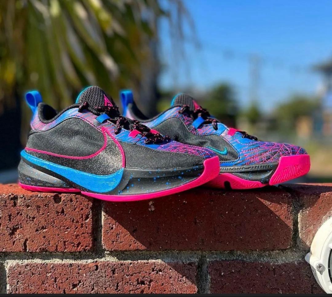 バスケットシューズ バッシュ フリーク Nike ZoomFreak5 美品
