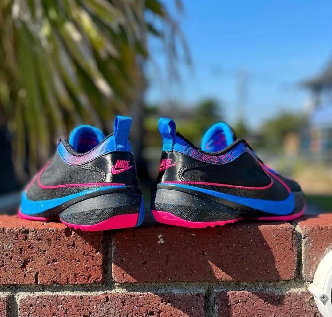 バスケットシューズ バッシュ フリーク Nike ZoomFreak5 美品