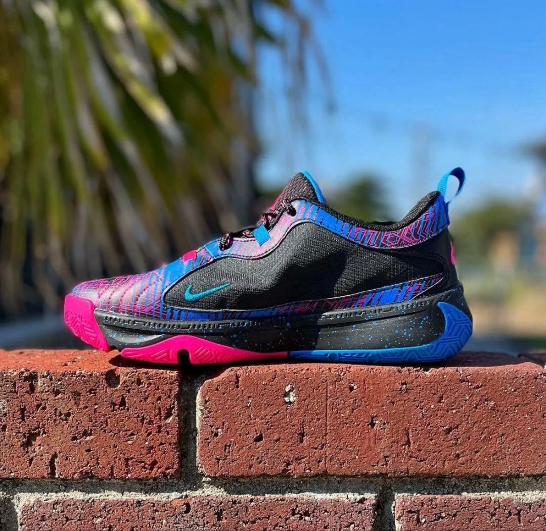 バスケットシューズ バッシュ フリーク Nike ZoomFreak5 美品