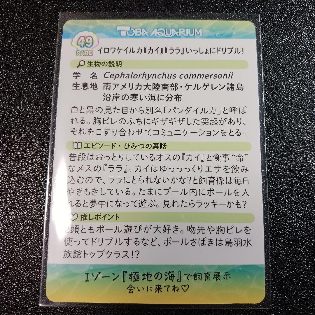 鳥羽水族館 コレクションカード VOL.2 レア イロワケイルカ カイ ララ