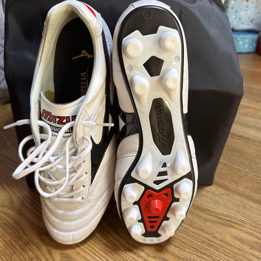 Mizuno モレリア２Japan
