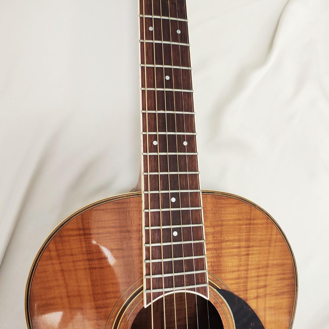 希少1983年製FENDER JAPAN Catalina フェンダー カタリナ
