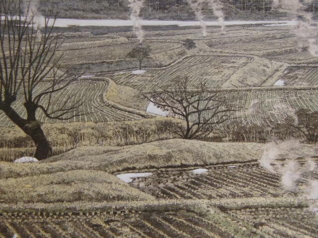 澁澤卿、【風煙寒色】、希少な額装用画集より、新品額装付、状態良好