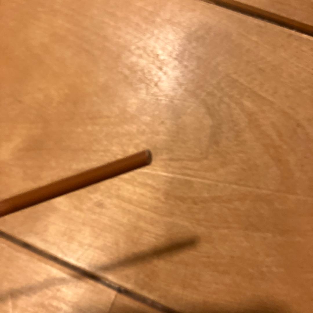 フィリップソン　釣竿　ブランクのみ