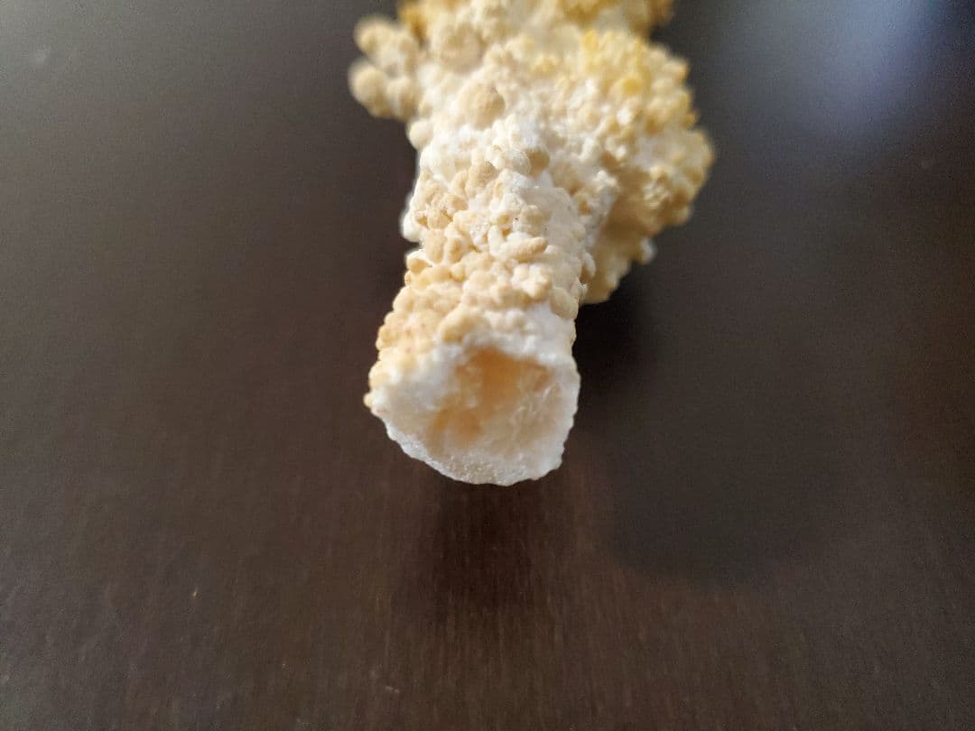 鍾乳管(鍾乳石)