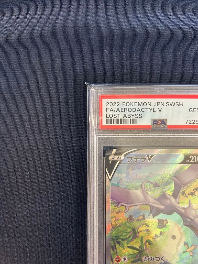 プテラV SR SA PSA10