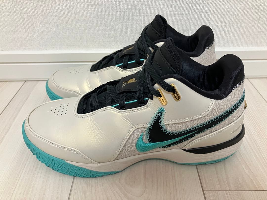 NIKE LEBRON NXXT GEN EP 26.5cm レブロン