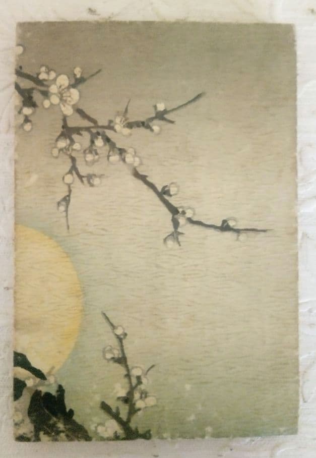 浮世絵、折り込み画帖小学女禮式圖解乾(多色刷り木版画15絵入り中判)安達吟光画、