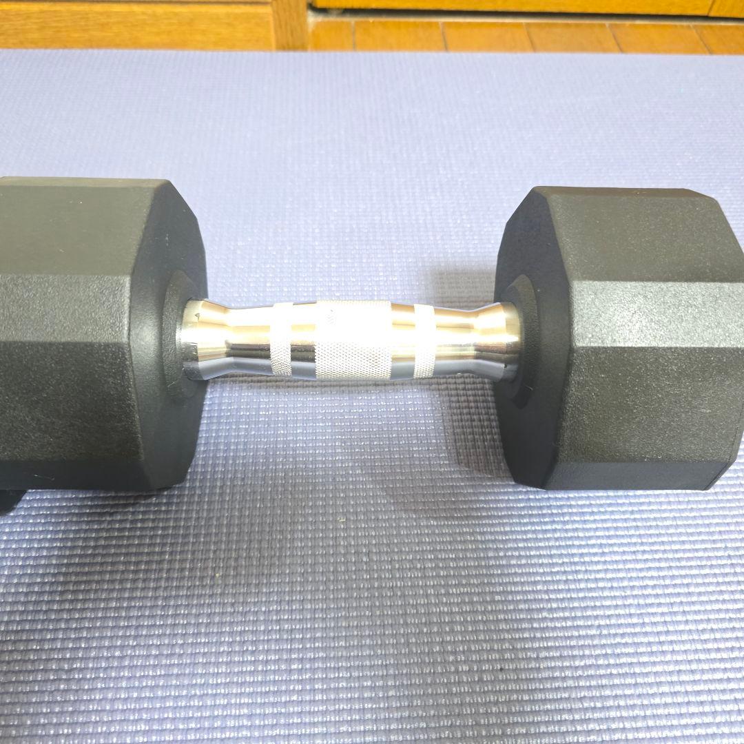 368【美品】PROIRON ダンベル 10kg 2個セット ジムダンベル