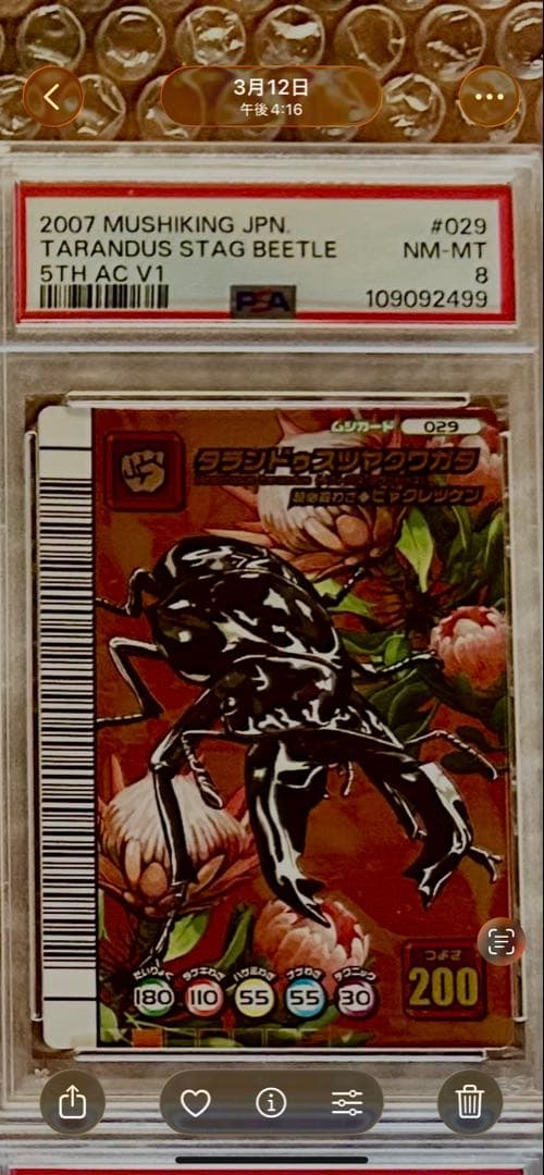 【PSA8】 ムシキング5周年　タランドゥスオオツヤクワガタ　ヒャクレツケン