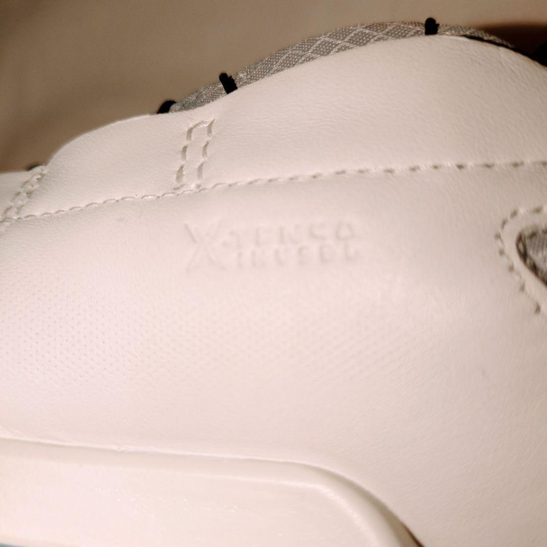 美品☆エコーeccoBIOMH4BOAゴルフシューズGORE-TEX24.5cm