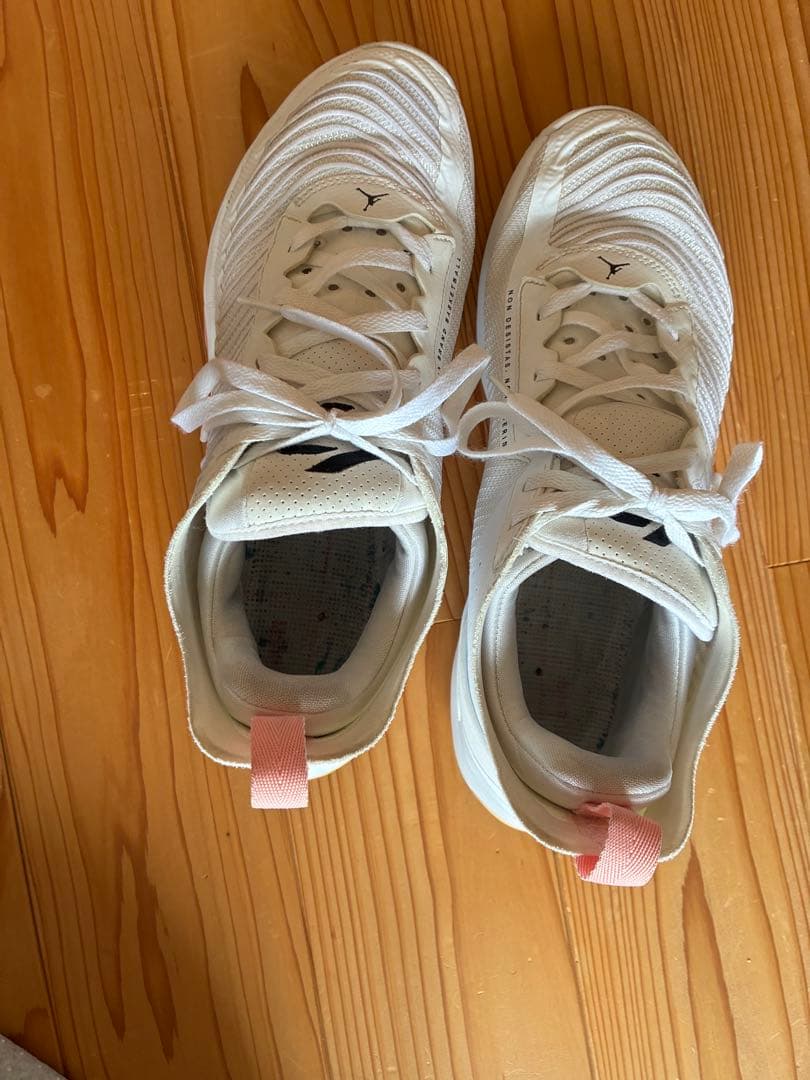 NIKE Jordan ルカ1 ホワイト/ピンク 27.5cm