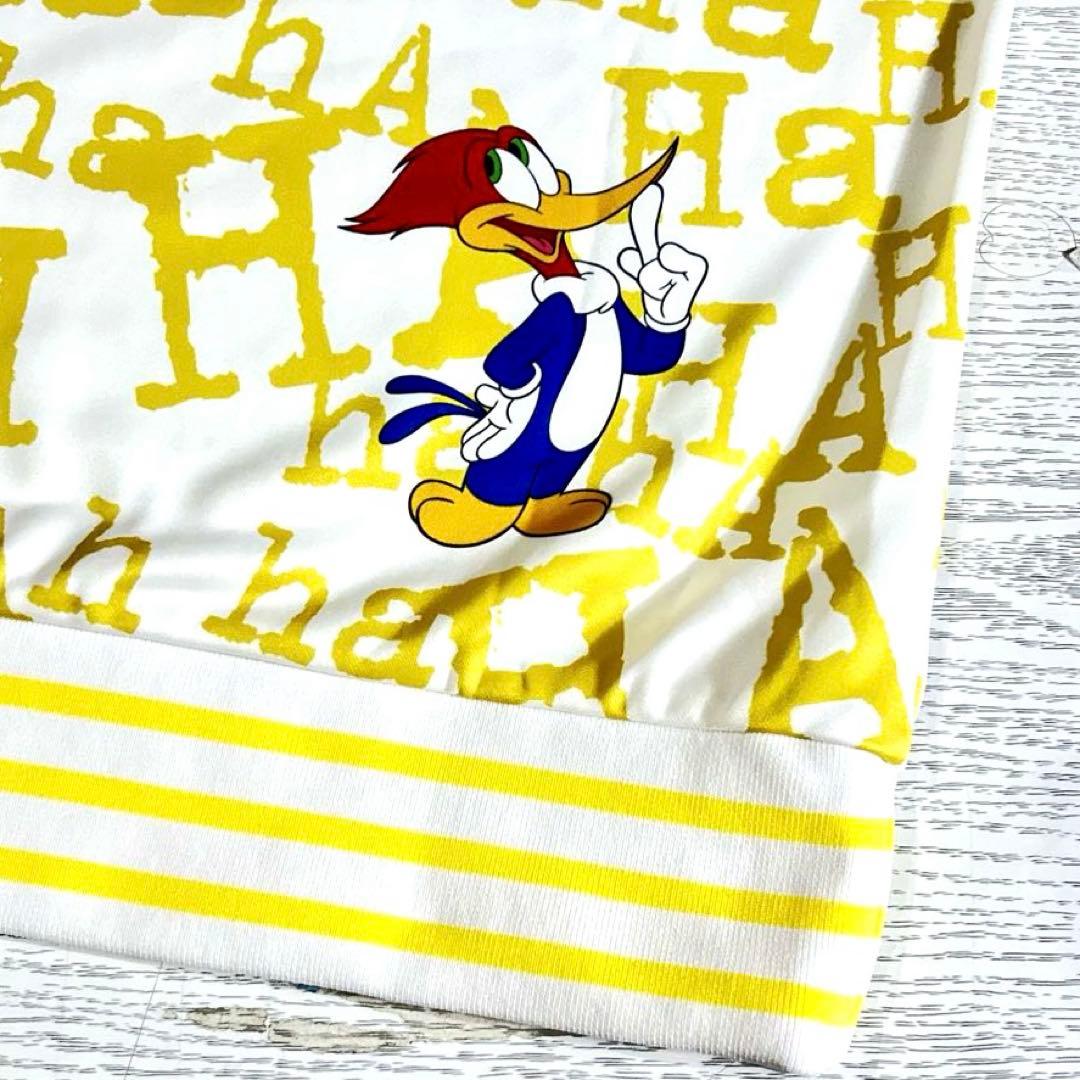 新品 CASTELBAJAC ウッドペッカー　モックネック プルオーバー