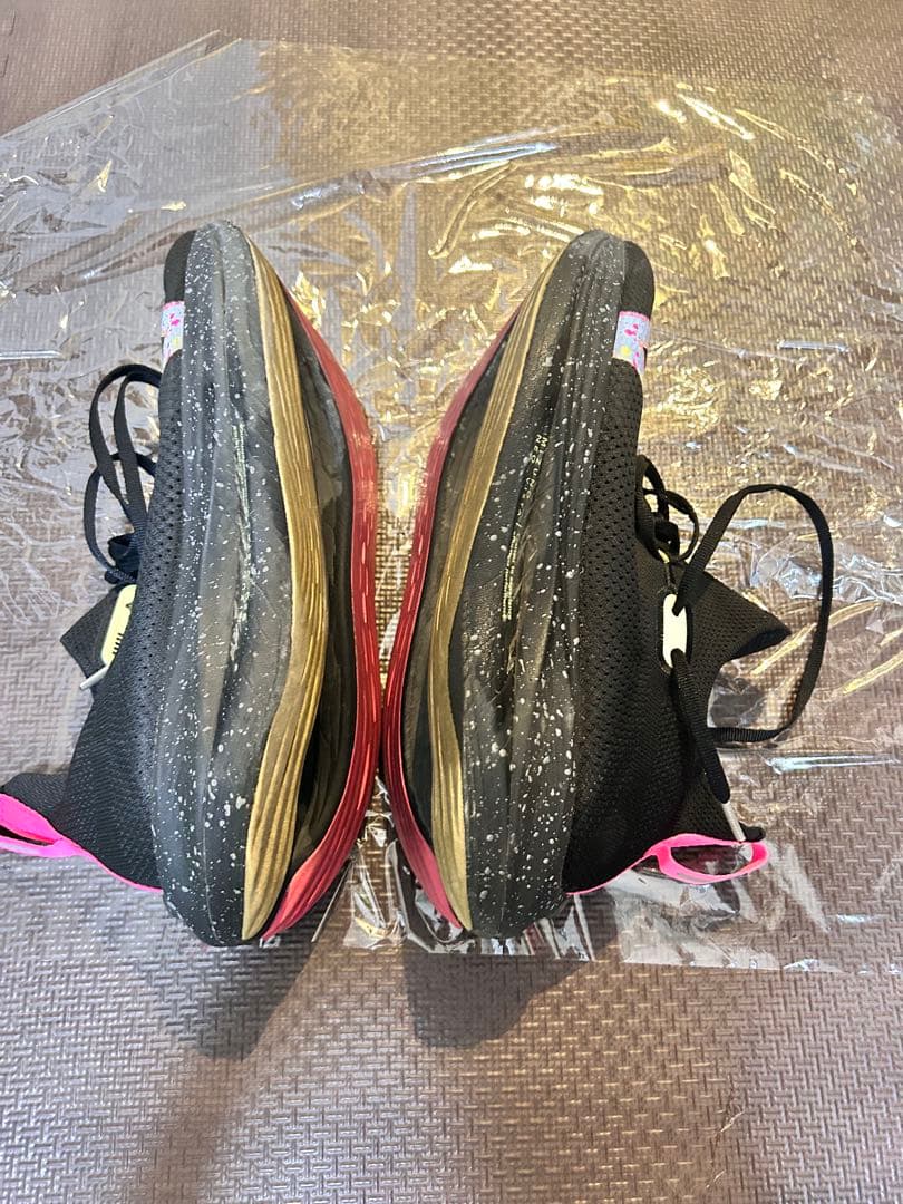 MIZUNO NEO VISTA ネオビスタ　　25.5cm