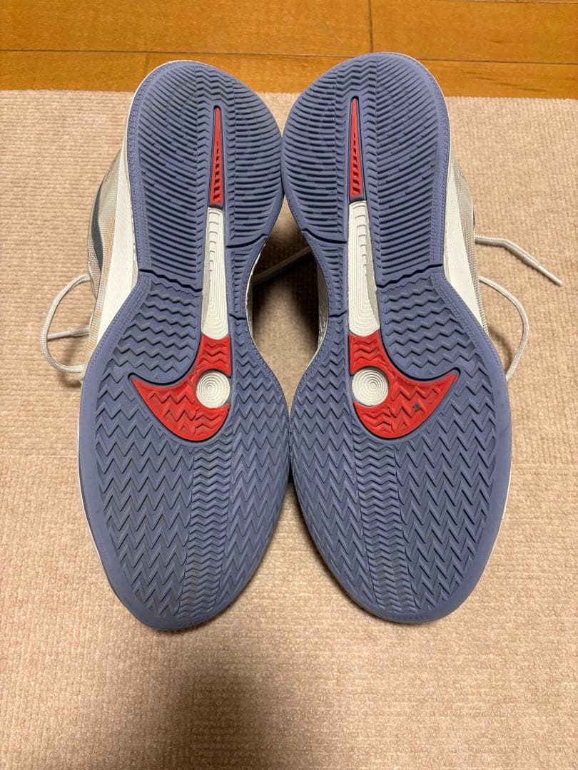 NIKE サブリナ2 29㎝ バッシュ