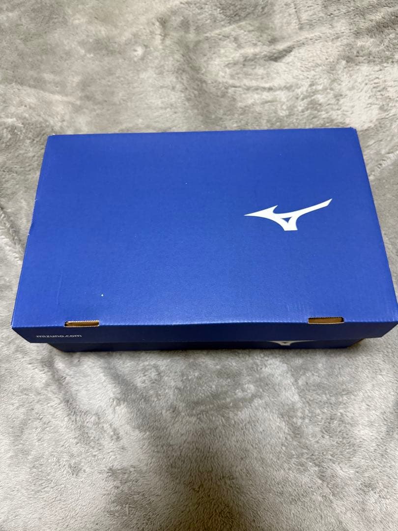 ミズノプロ ドミナントニット スパイク 26.0 Mizuno Pro