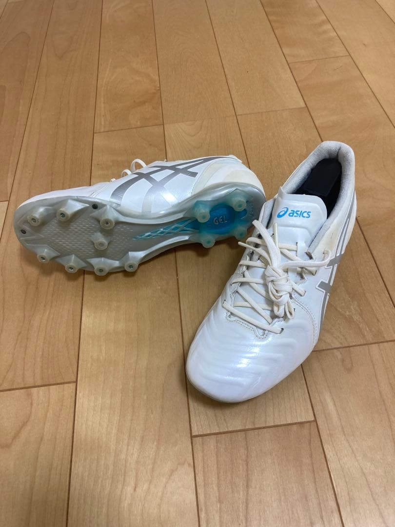 【美品】25.0cm ASICS DSライトアシックス