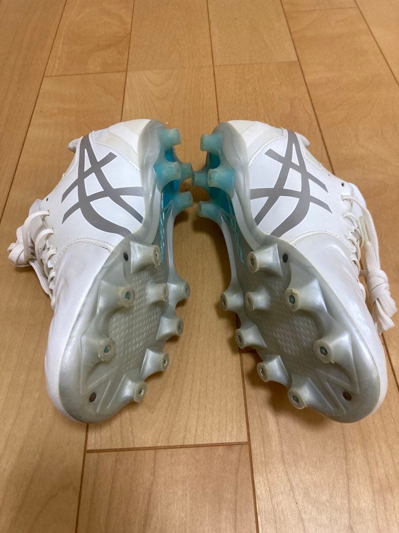 【美品】25.0cm ASICS DSライトアシックス