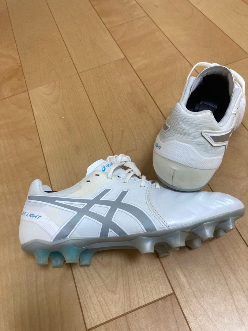 【美品】25.0cm ASICS DSライトアシックス