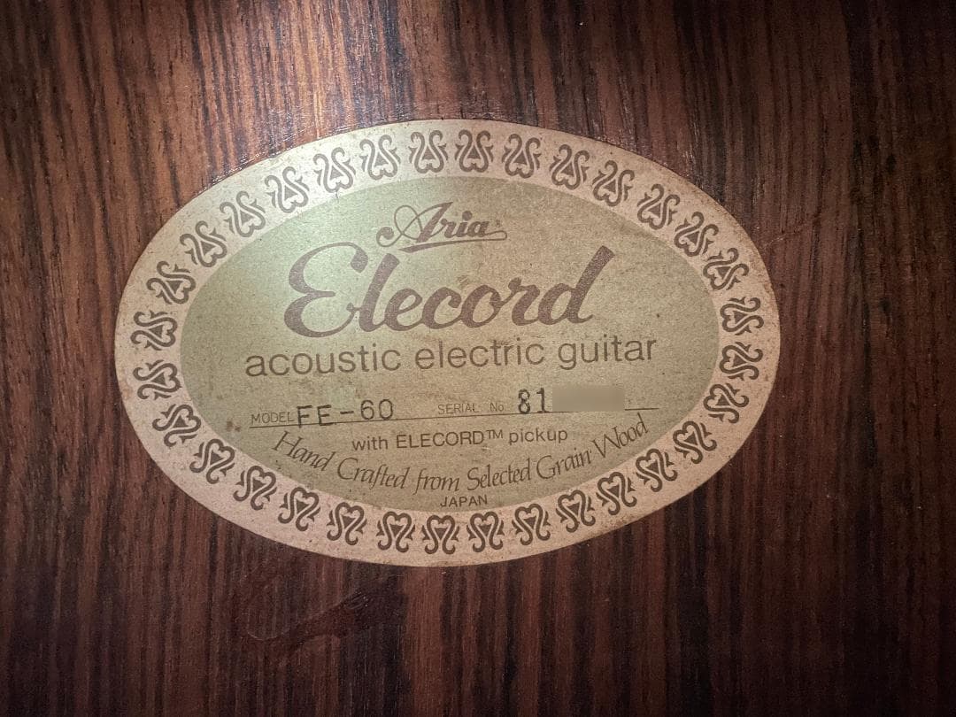 ギター Aria Elecord FE-60