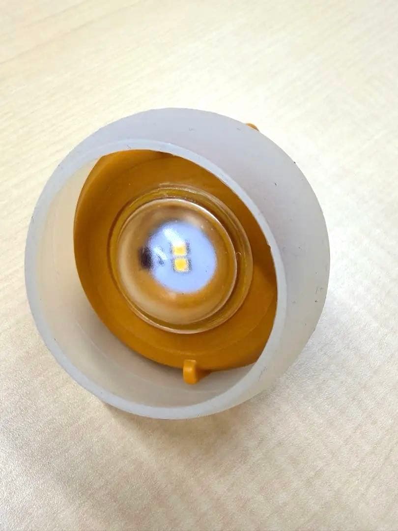 廃盤カラー スノーピーク たねほおずき