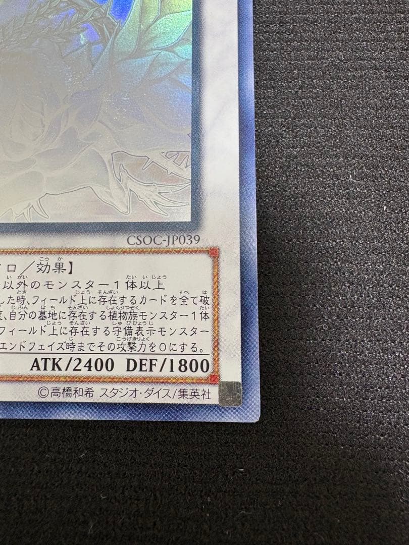 ブラックローズドラゴン　ホロ
