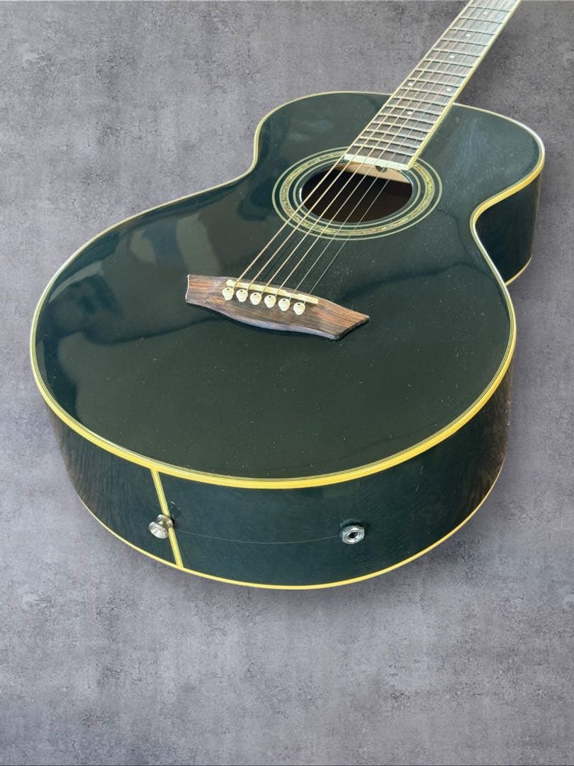 Washburn WPJ5S-B エレアコ ブラックナイトシリーズ 黒 Hケース