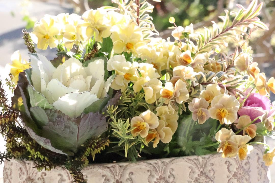 寄せ植え　花_NO.1154