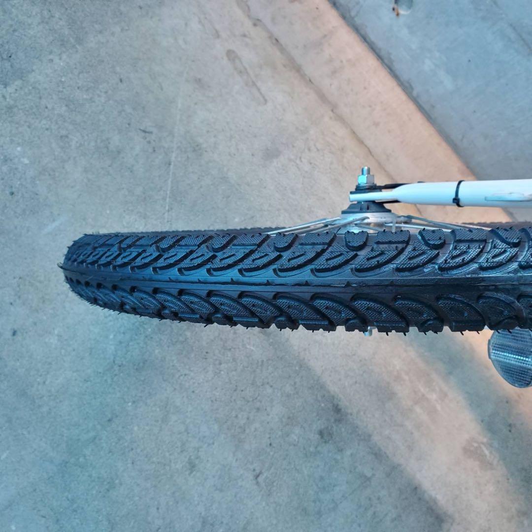 BRIDGESTONE bikke POLAR e　ビッケ　ポーラー