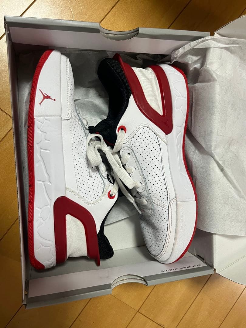 バスケシューズ NIKE Jordan 22.5 箱とステッカー付