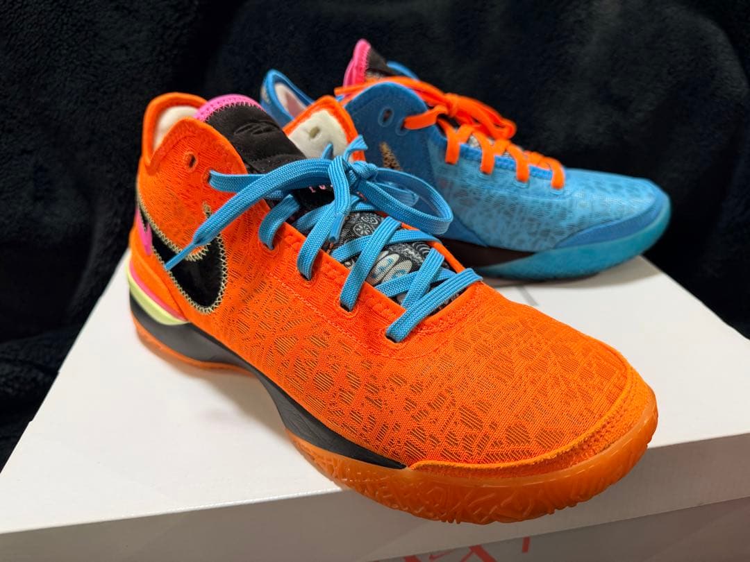 シューズ(男性用) NIKE Zoom Lebron NXXT Gen 29cm