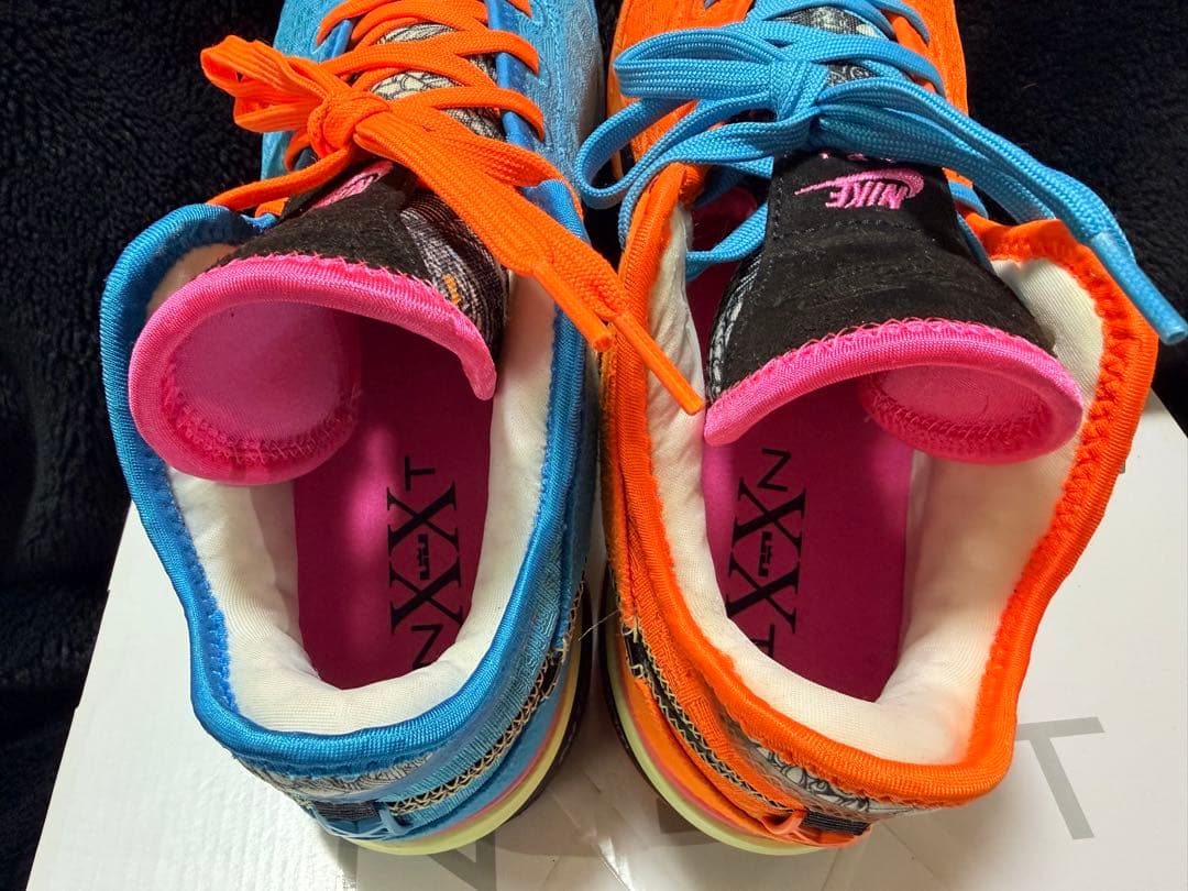 シューズ(男性用) NIKE Zoom Lebron NXXT Gen 29cm