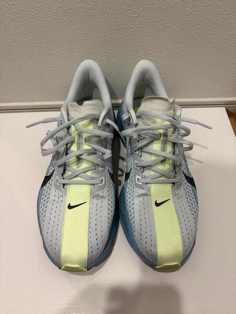 NIKE Pegasus Plus (ナイキ ペガサスプラス) 28cm