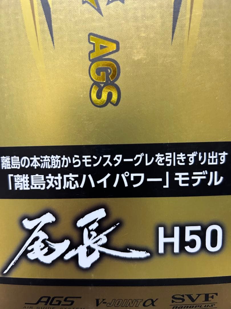 ダイワ　モンスターフォース尾長H