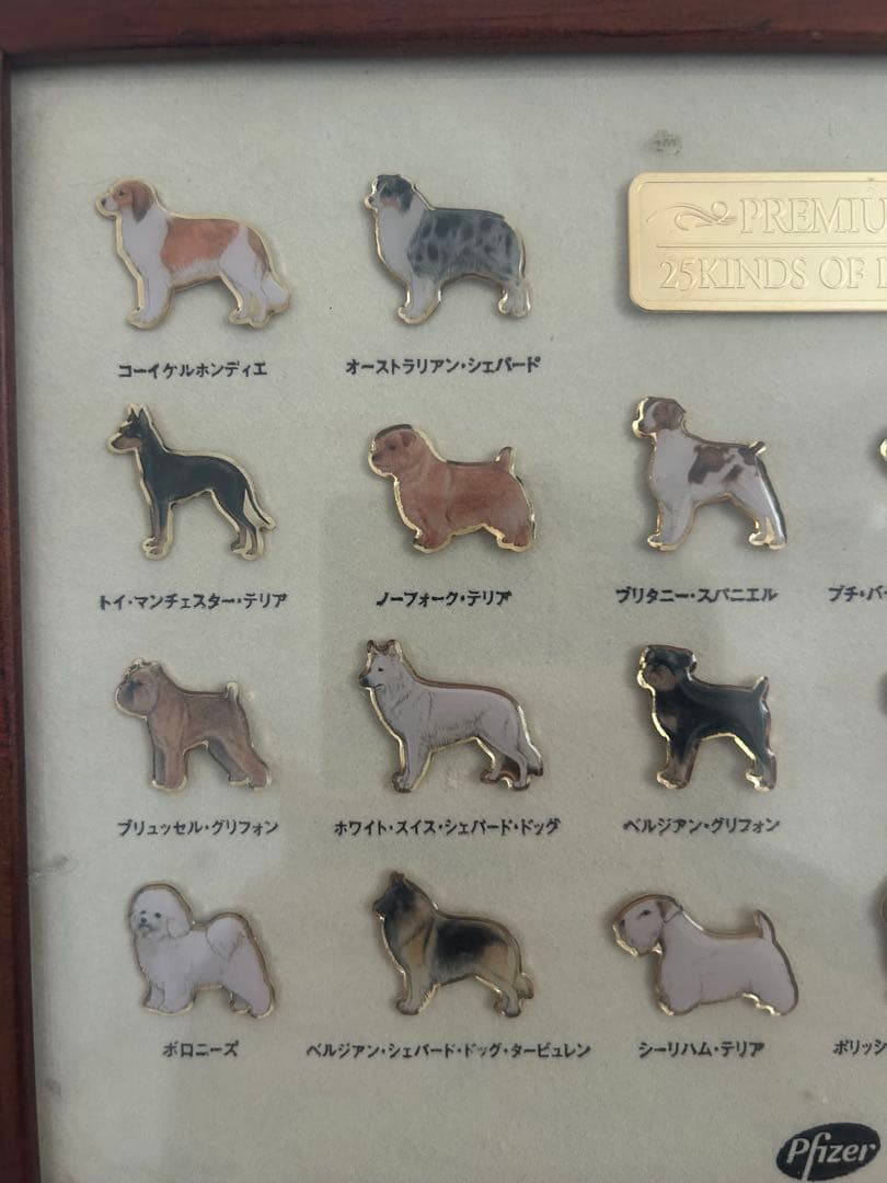 犬のピンバッジ 25種類セット