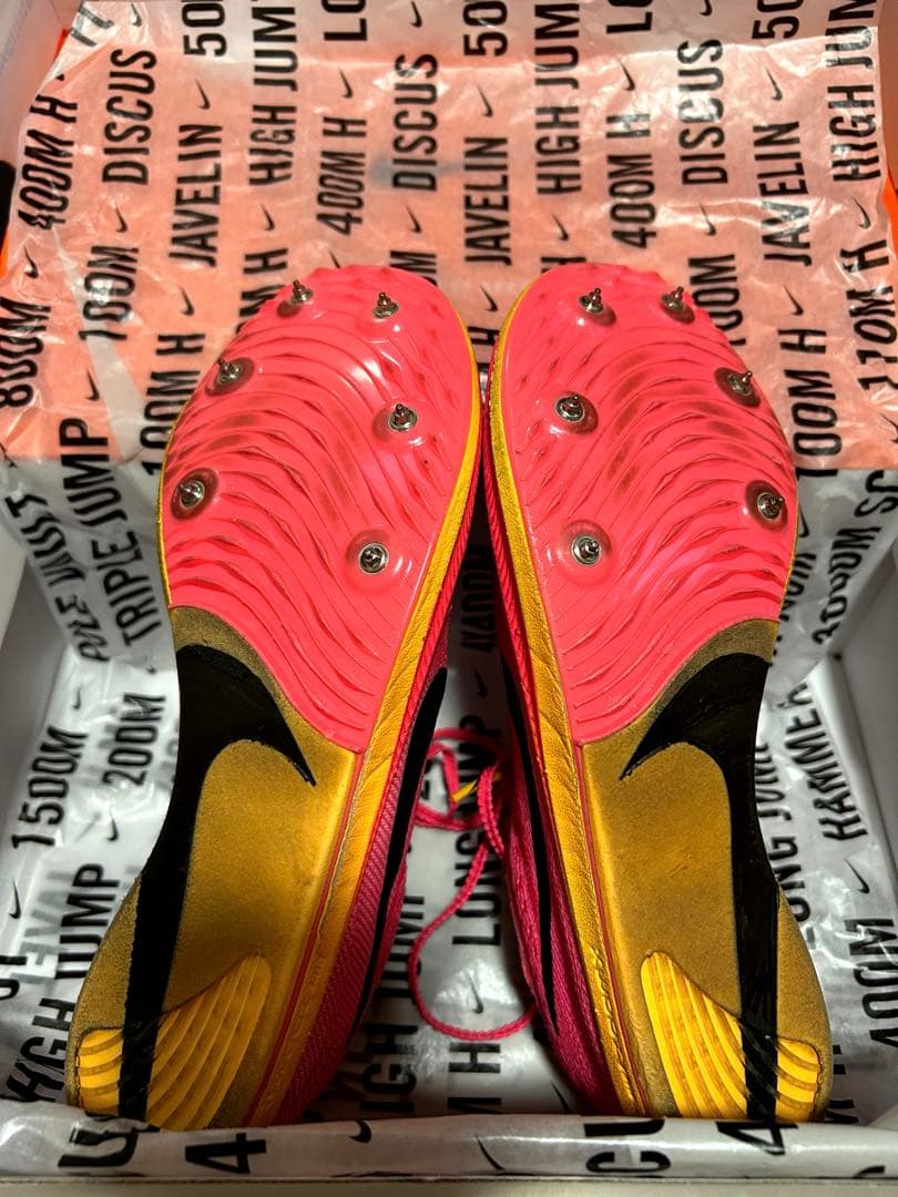 NIKE ドラゴンフライ 25.5