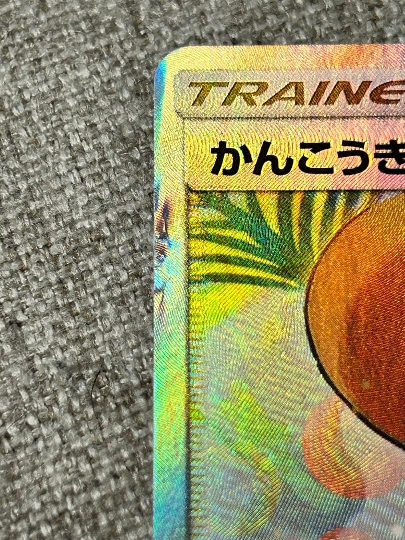 さな様　希望価格に設定しました。 よろしければご購入下さい。 かんこうきゃく
