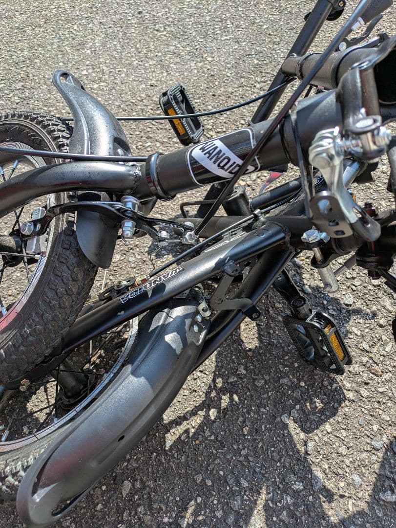 WANIDA 自転車 折りたたみ クロスバイク 12インチ 軽量 小型 ブラック
