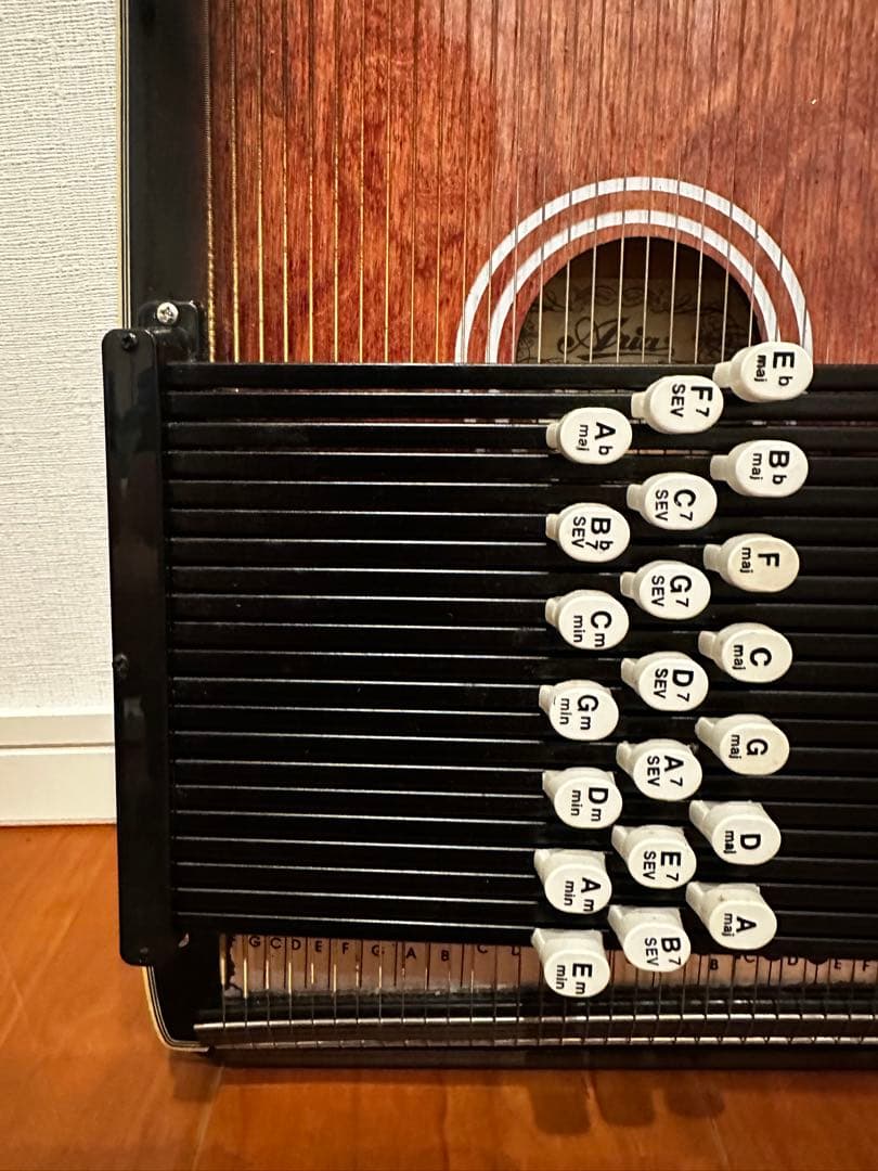 完動品　ARIA ACH-21 オートハープ コードハープ Cordharp