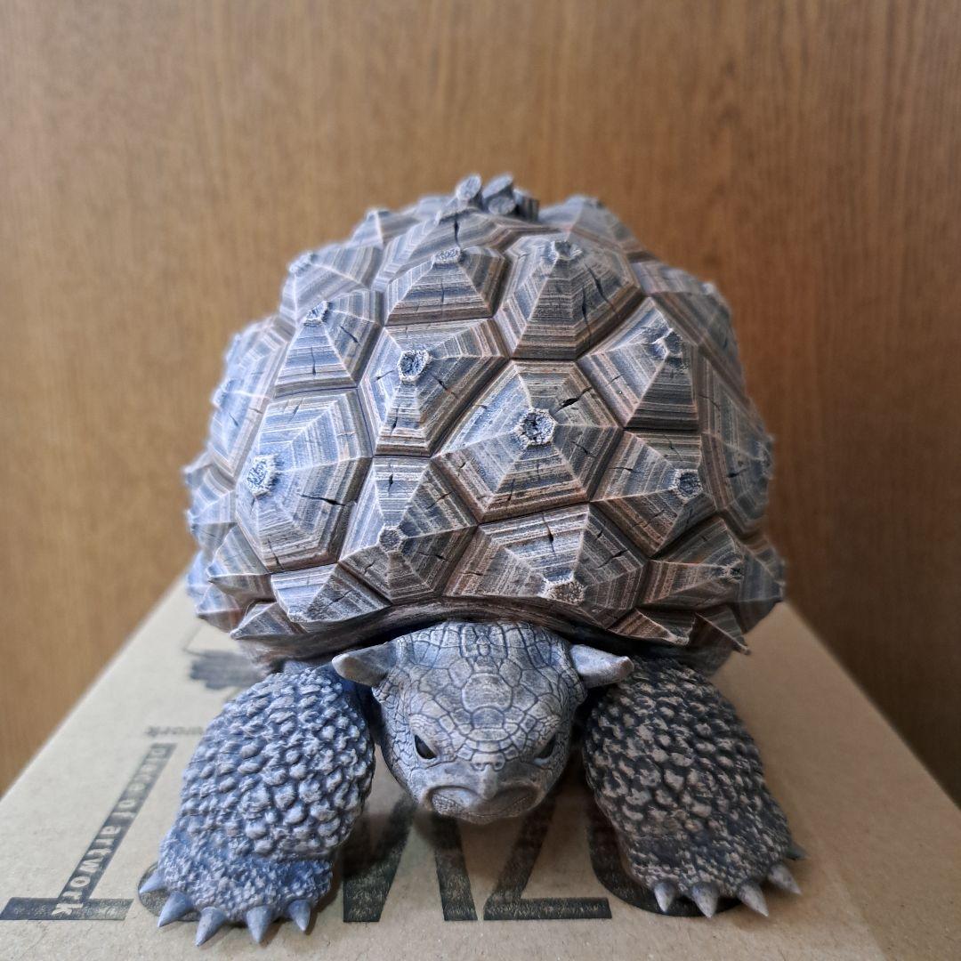 その他 ozwrt Dioscorea Nasutoceratops