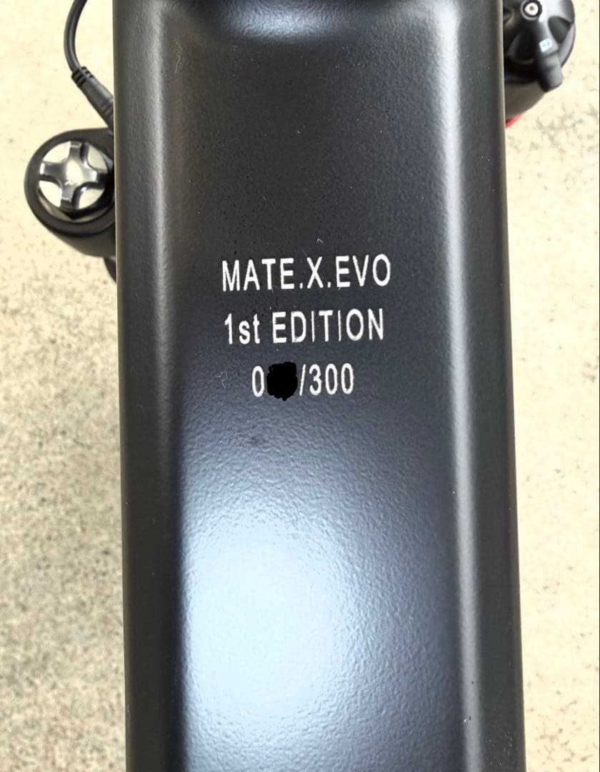【世界300台限定】 MATE X EVO 配達無料地域あり　MATEBIKE