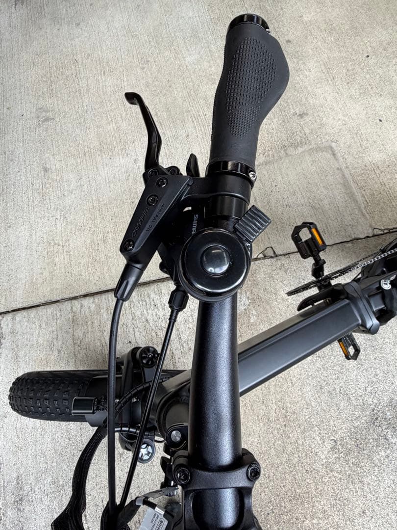 【世界300台限定】 MATE X EVO 配達無料地域あり　MATEBIKE