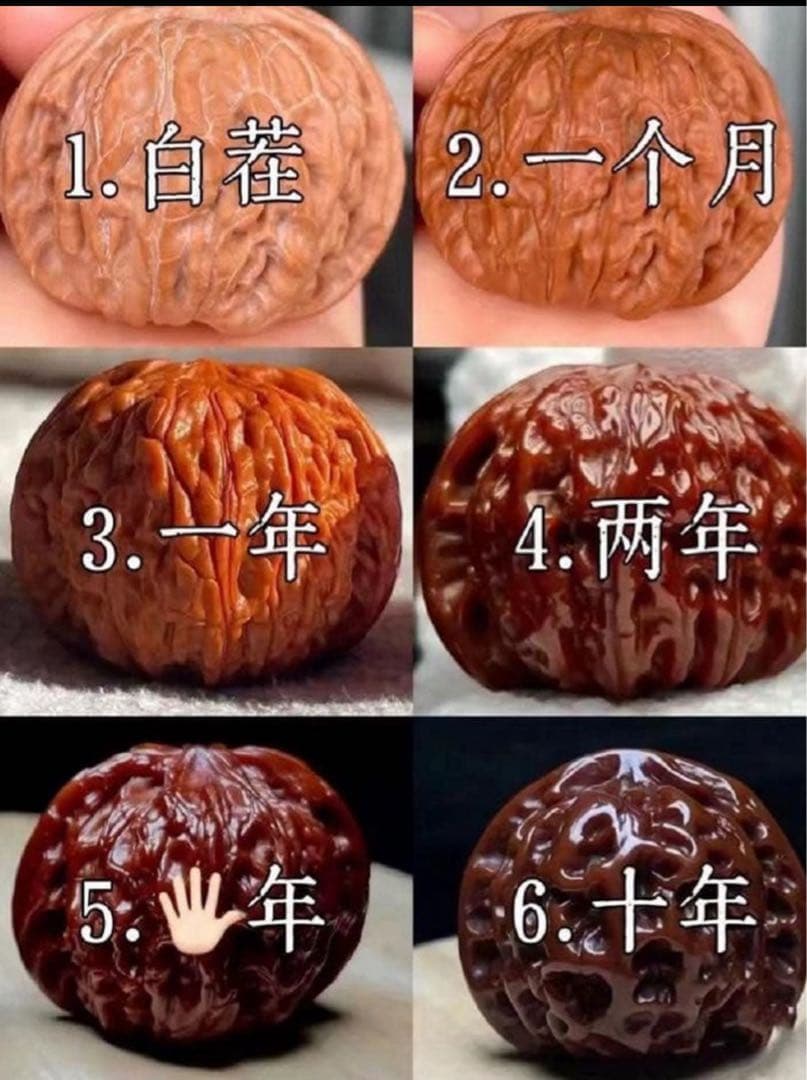 ☆天然☆ 伝統的な文玩核桃（ぶんがんくるみ）の逸品、王勇の手球ペア 37mm
